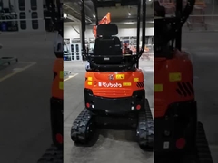 Janice0312-02 Je suis désolée